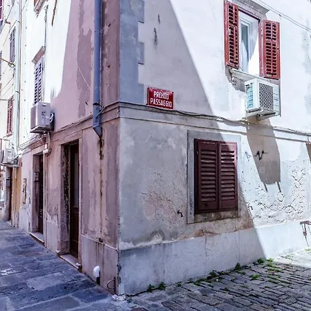 Nono Mario - Marin Piran