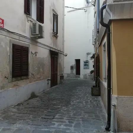 Apartmán Nono Mario - Marin Piran