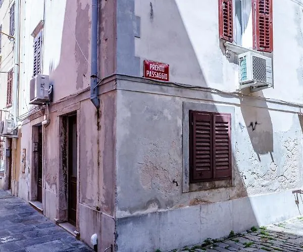 Nono Mario - Marin 皮兰